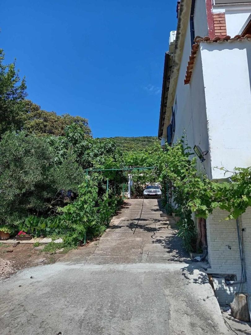 Apartments And Rooms By The Sea Martinscica, Cres - 23980 Zewnętrze zdjęcie