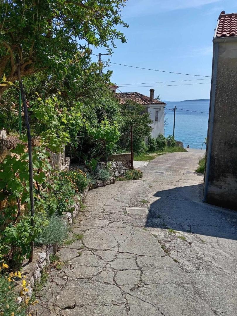 Apartments And Rooms By The Sea Martinscica, Cres - 23980 Zewnętrze zdjęcie